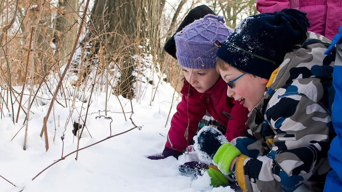 School Day-Off Camps